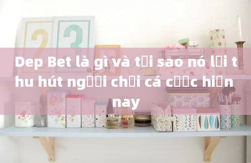 Dep Bet là gì và tại sao nó lại thu hút người chơi cá cược hiện nay