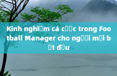 Kinh nghiệm cá cược trong Football Manager cho người mới bắt đầu