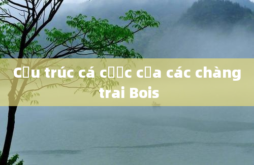 Cấu trúc cá cược của các chàng trai Bois