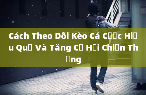 Cách Theo Dõi Kèo Cá Cược Hiệu Quả Và Tăng Cơ Hội Chiến Thắng