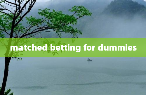 matched betting for dummies