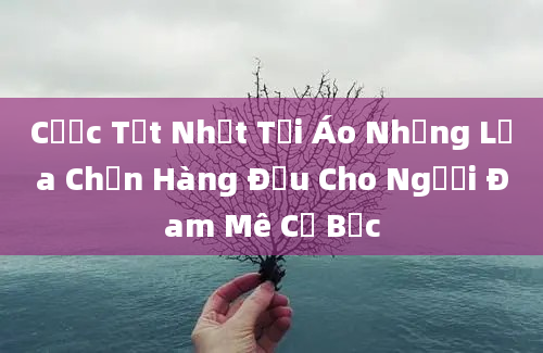 Cược Tốt Nhất Tại Áo Những Lựa Chọn Hàng Đầu Cho Người Đam Mê Cờ Bạc