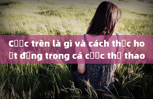 Cược trên là gì và cách thức hoạt động trong cá cược thể thao