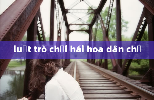 luật trò chơi hái hoa dân chủ