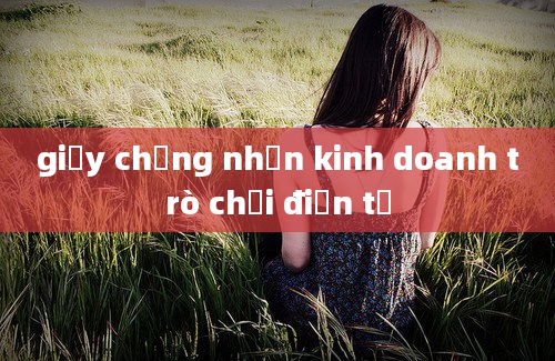 giấy chứng nhận kinh doanh trò chơi điện tử