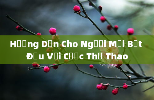 Hướng Dẫn Cho Người Mới Bắt Đầu Với Cược Thể Thao