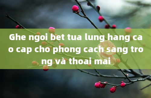 Ghe ngoi bet tua lung hang cao cap cho phong cach sang trong và thoai mai