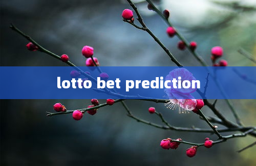 lotto bet prediction