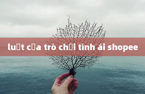 luật của trò chơi tình ái shopee