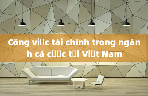 Công việc tài chính trong ngành cá cược tại Việt Nam