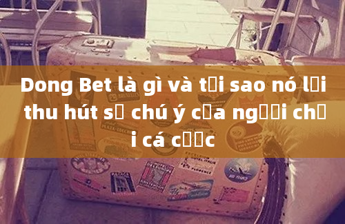 Dong Bet là gì và tại sao nó lại thu hút sự chú ý của người chơi cá cược