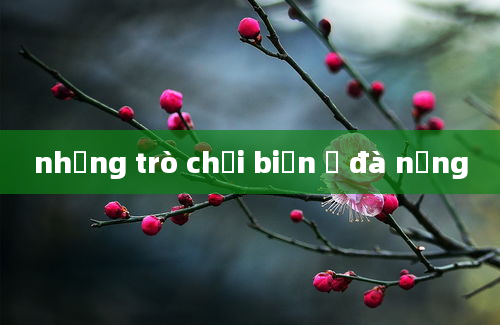 những trò chơi biển ở đà nẵng