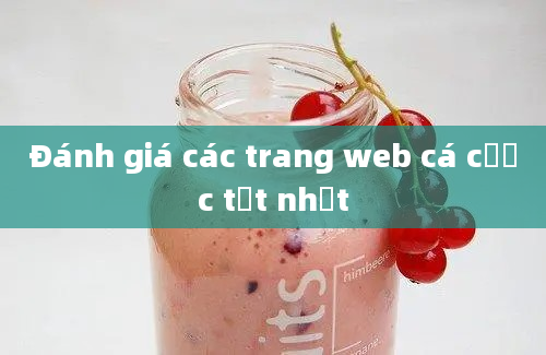 Đánh giá các trang web cá cược tốt nhất