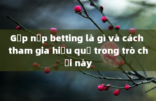 Gấp nếp betting là gì và cách tham gia hiệu quả trong trò chơi này