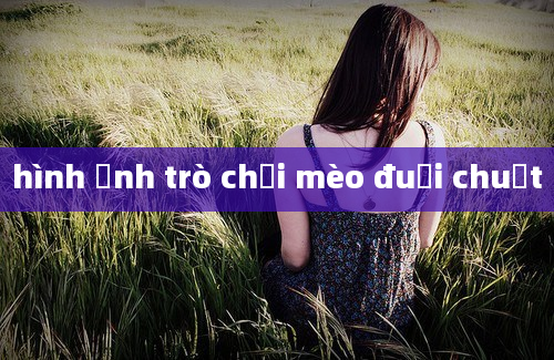 hình ảnh trò chơi mèo đuổi chuột