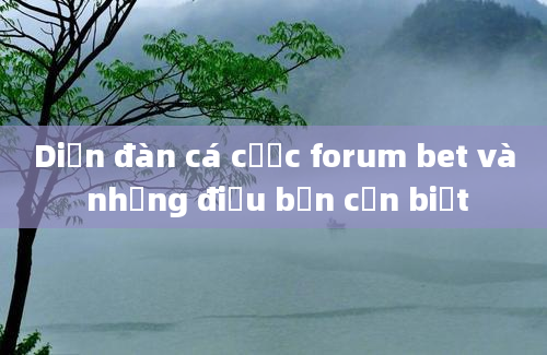 Diễn đàn cá cược forum bet và những điều bạn cần biết