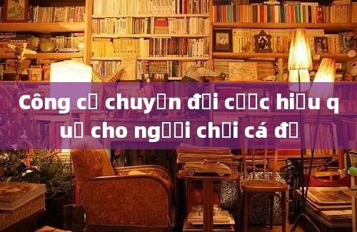 Công cụ chuyển đổi cược hiệu quả cho người chơi cá độ