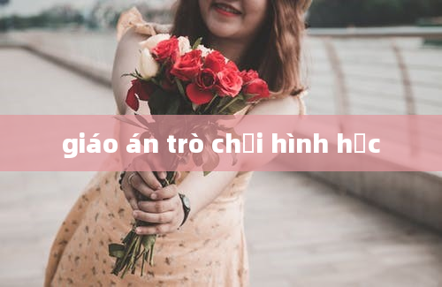 giáo án trò chơi hình học