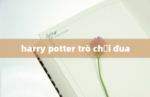 harry potter trò chơi đua