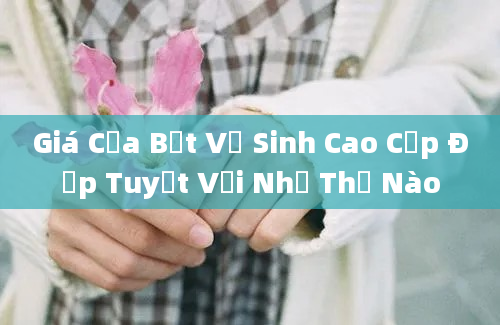 Giá Của Bệt Vệ Sinh Cao Cấp Đẹp Tuyệt Vời Như Thế Nào