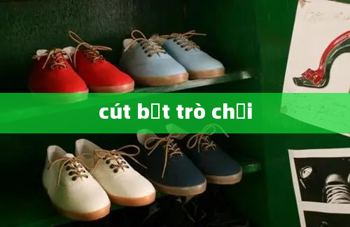 cút bắt trò chơi