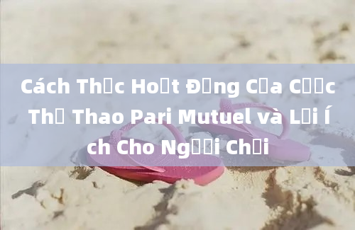 Cách Thức Hoạt Động Của Cược Thể Thao Pari Mutuel và Lợi Ích Cho Người Chơi