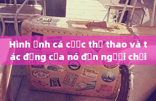 Hình ảnh cá cược thể thao và tác động của nó đến người chơi