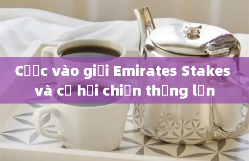 Cược vào giải Emirates Stakes và cơ hội chiến thắng lớn