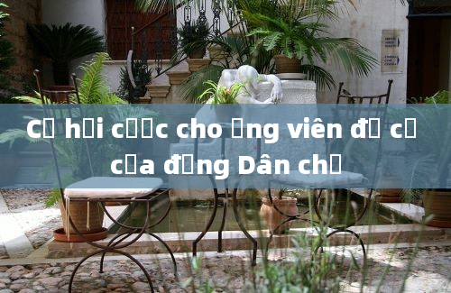 Cơ hội cược cho ứng viên đề cử của đảng Dân chủ