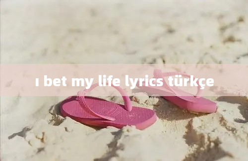 ı bet my life lyrics türkçe