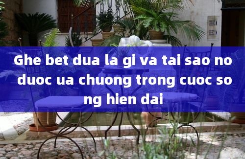 Ghe bet dua la gi va tai sao no duoc ua chuong trong cuoc song hien dai