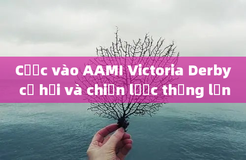 Cược vào AAMI Victoria Derby cơ hội và chiến lược thắng lớn