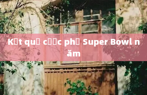 Kết quả cược phụ Super Bowl năm