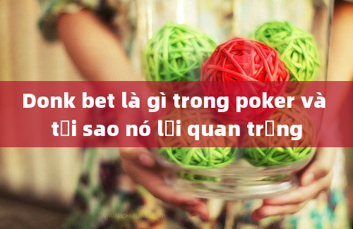 Donk bet là gì trong poker và tại sao nó lại quan trọng