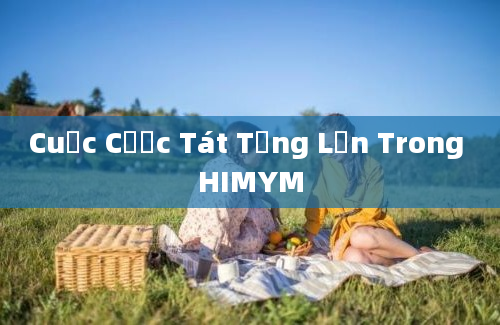 Cuộc Cược Tát Từng Lần Trong HIMYM