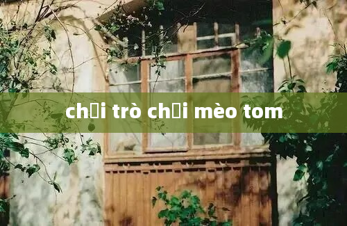 chơi trò chơi mèo tom