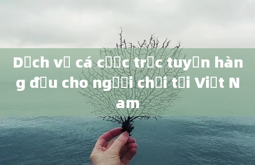 Dịch vụ cá cược trực tuyến hàng đầu cho người chơi tại Việt Nam