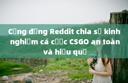 Cộng đồng Reddit chia sẻ kinh nghiệm cá cược CSGO an toàn và hiệu quả