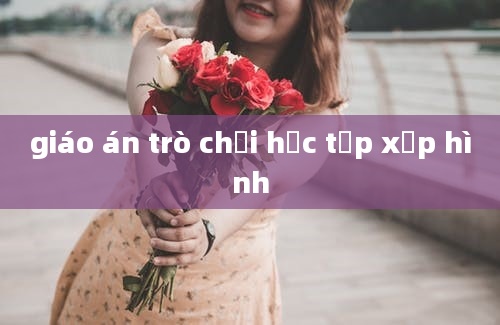 giáo án trò chơi học tập xếp hình