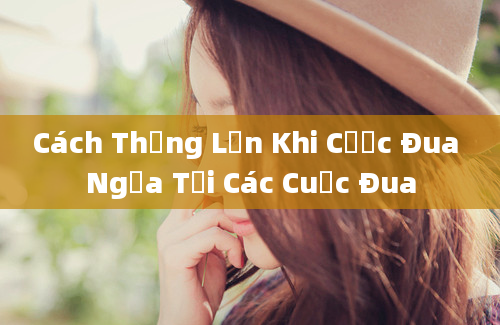 Cách Thắng Lớn Khi Cược Đua Ngựa Tại Các Cuộc Đua