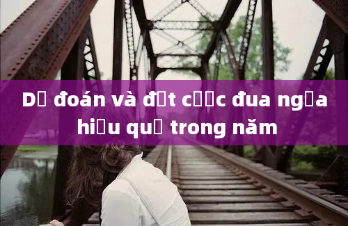 Dự đoán và đặt cược đua ngựa hiệu quả trong năm