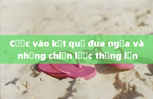 Cược vào kết quả đua ngựa và những chiến lược thắng lớn