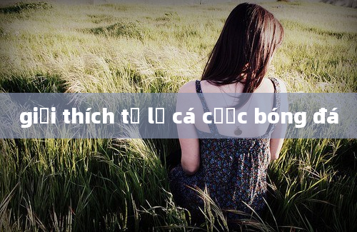 giải thích tỷ lệ cá cược bóng đá