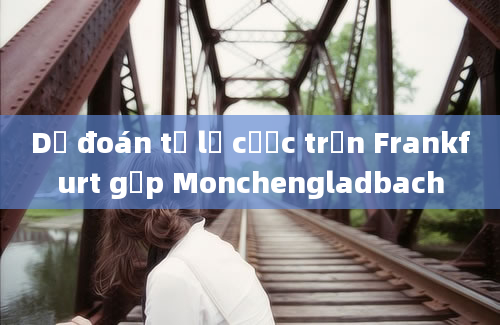 Dự đoán tỷ lệ cược trận Frankfurt gặp Monchengladbach