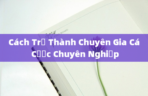 Cách Trở Thành Chuyên Gia Cá Cược Chuyên Nghiệp