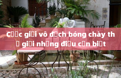 Cược giải vô địch bóng chày thế giới những điều cần biết