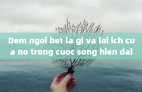 Dem ngoi bet la gi va loi ich cua no trong cuoc song hien dai