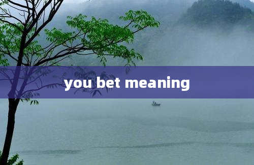 you bet meaning