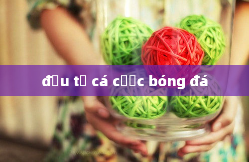 đầu tư cá cược bóng đá