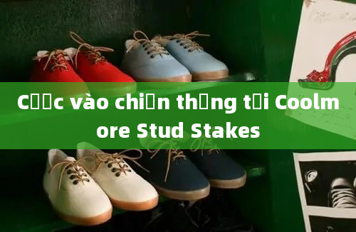 Cược vào chiến thắng tại Coolmore Stud Stakes